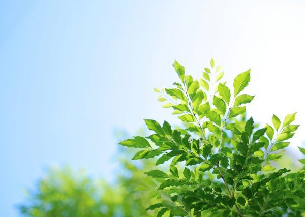 温暖化防止＆電気代大幅カット