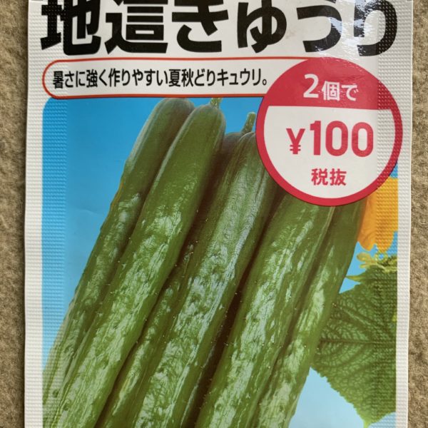 １００円ショップで組み合わせ２個で１００円の種子を購入