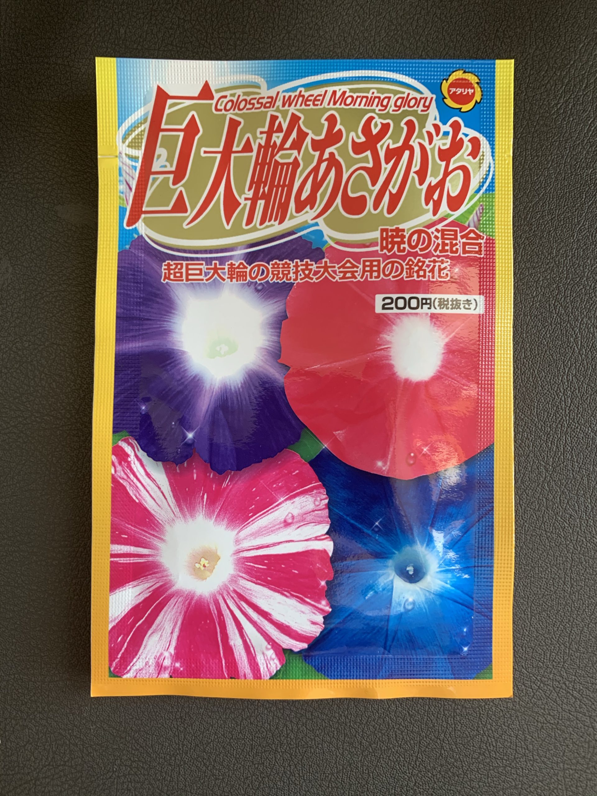 巨大輪あさがおのタネを購入
