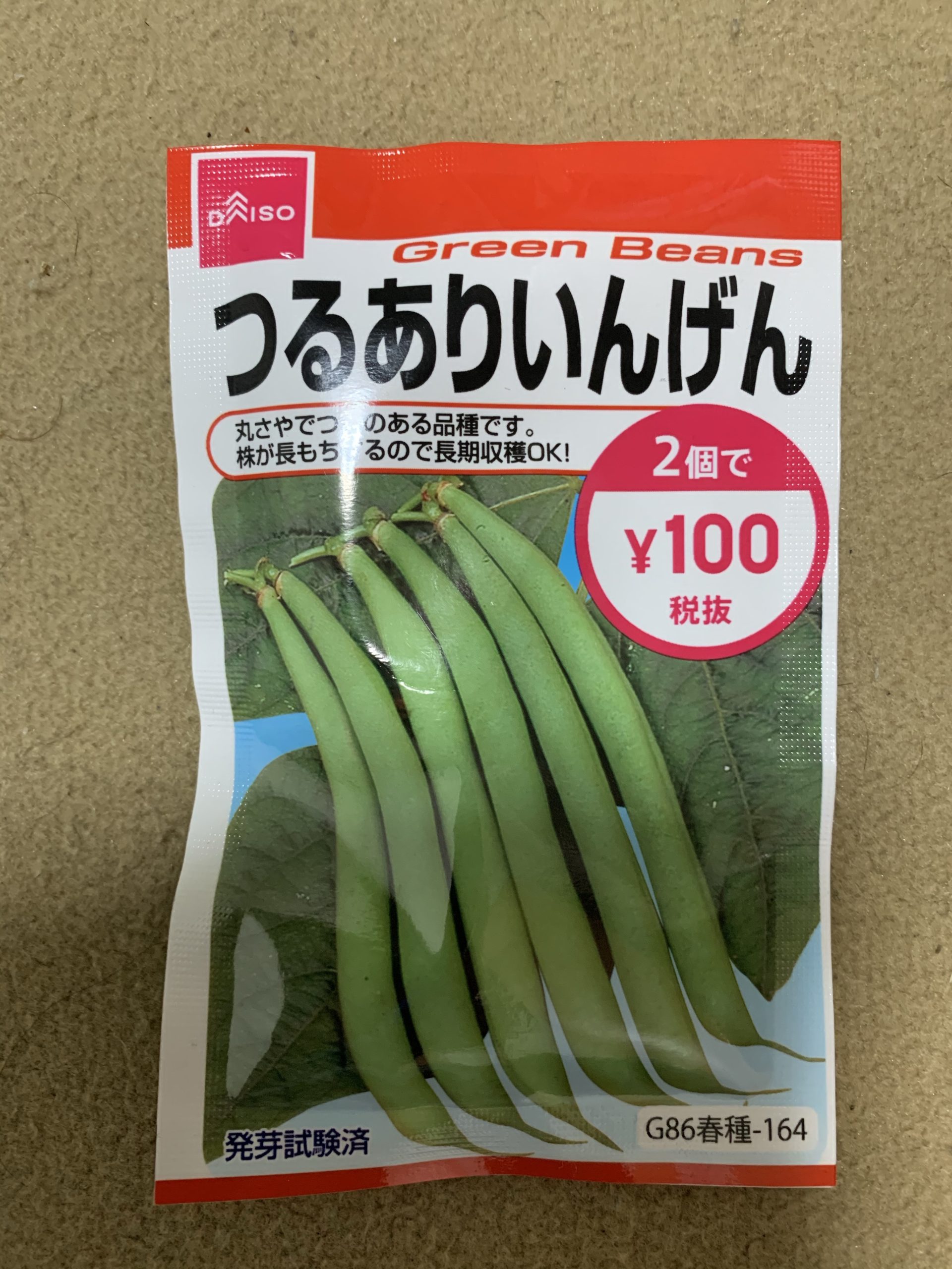 いんげんのタネを購入