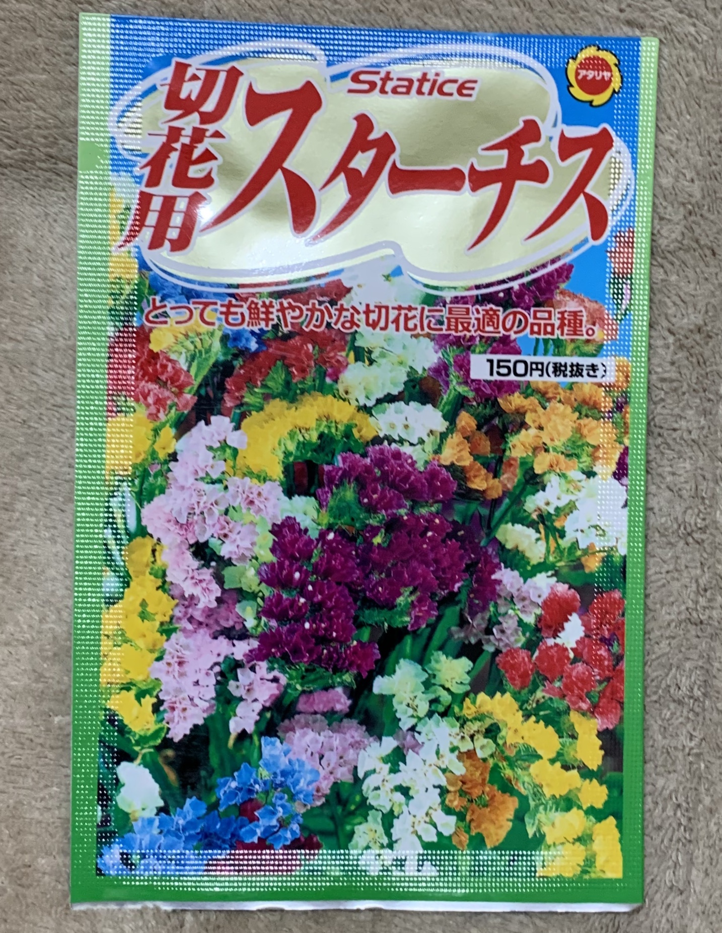 切り花用のスターチスを購入