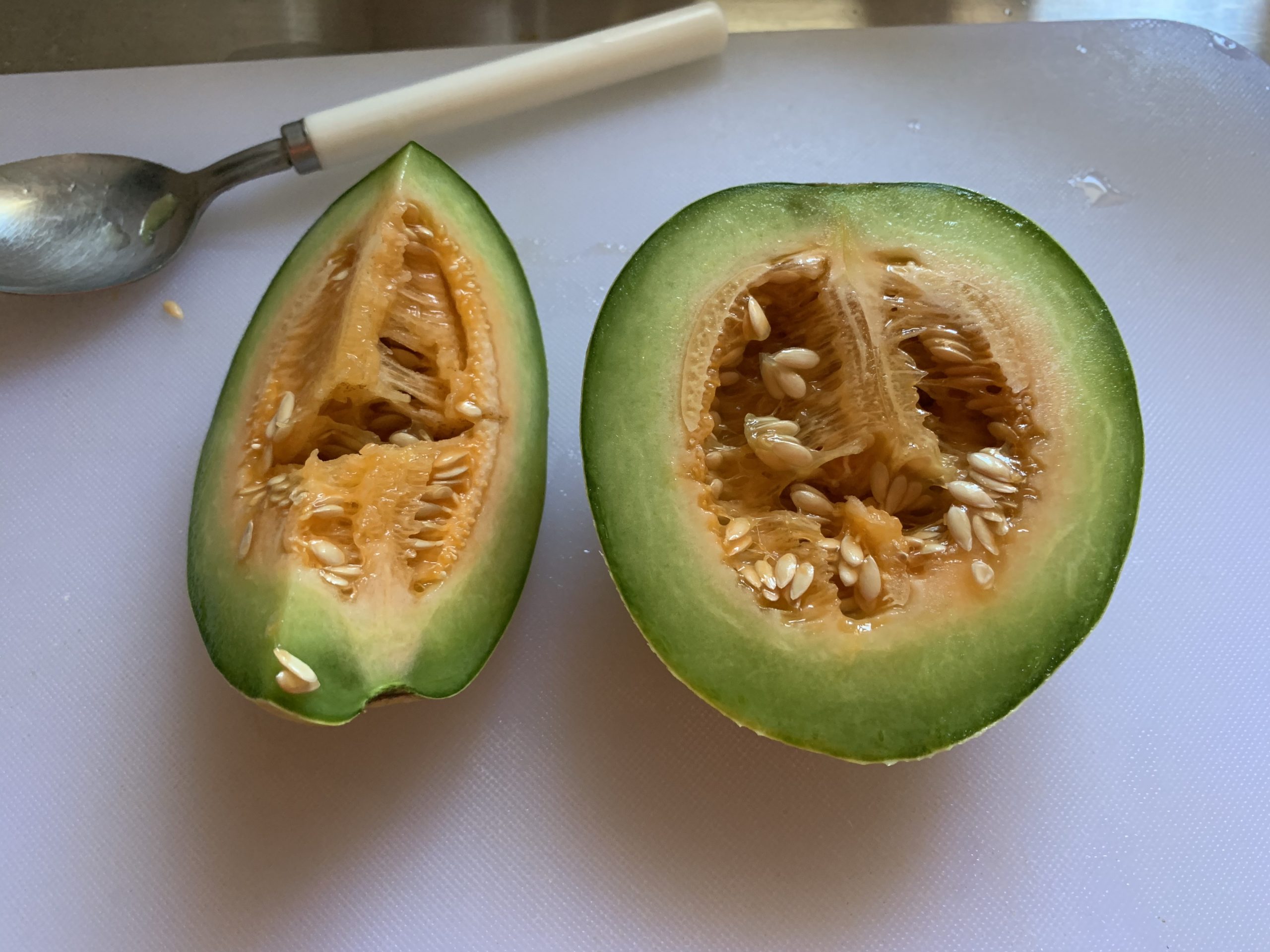 2020年今季生育終了したこだまメロン収穫量（１株分）