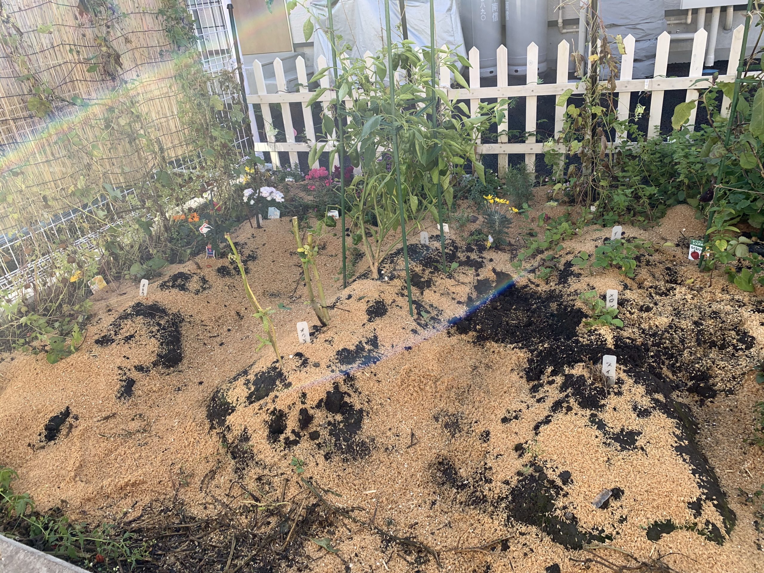 いよいよ本格的に寒くなり、霜で植物の根腐れが心配です。